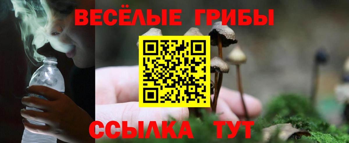 Галлюциногенные грибы Magic Shrooms Новоалтайск